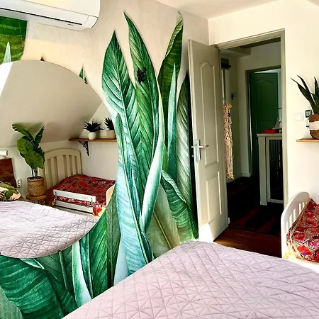 Bohemian Eco Kisapáti