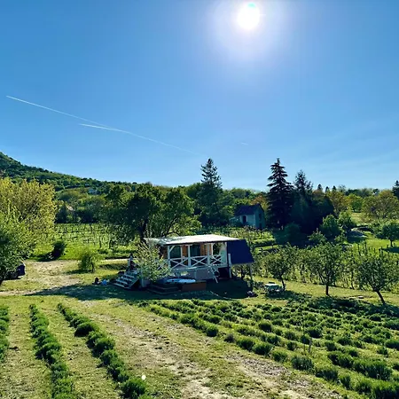 Bohemian Eco * Kisapáti