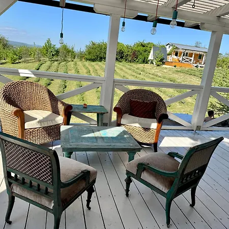 Apartmán Bohemian Eco