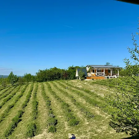 Bohemian Eco Kisapáti